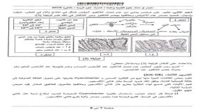 دليل المعلم علوم بكالوريا سوريا pdf 2022