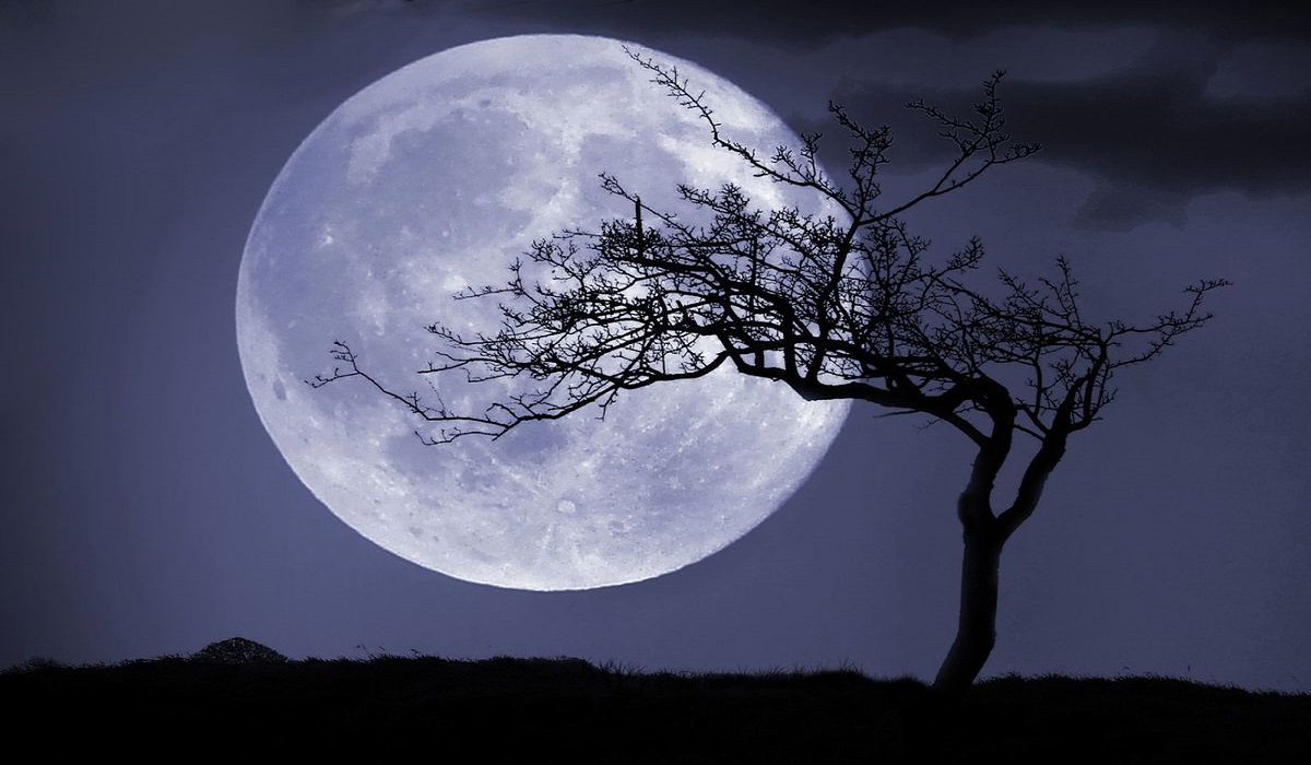 معنى اليس القمر جميلا في اليابان