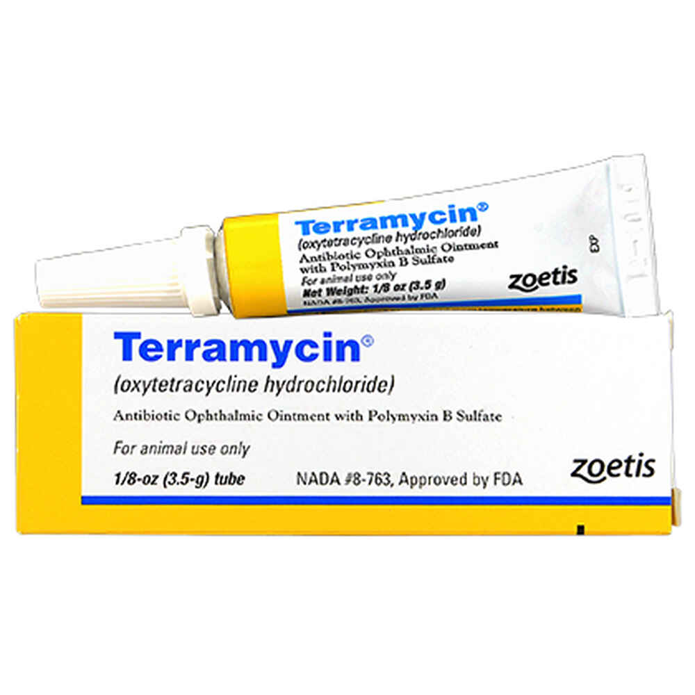terramycin لماذا يستخدم