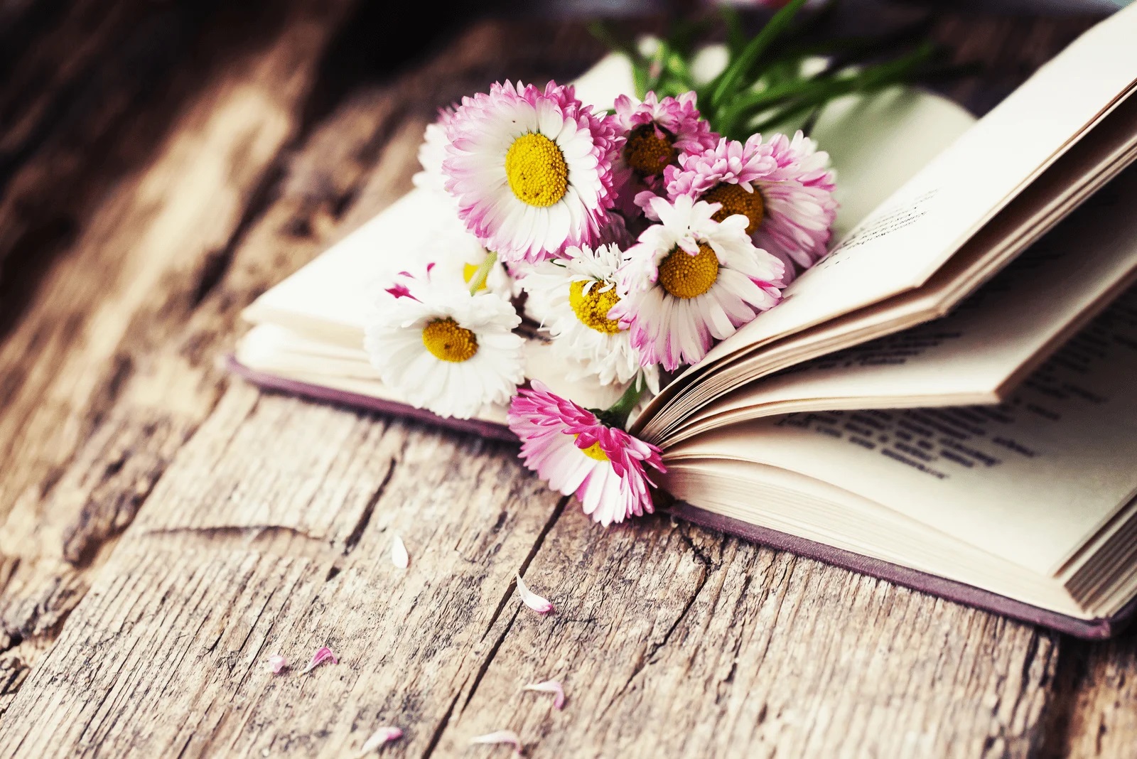 Книга цвет жизни. Книга цветы. Красивые книги. Цветы в книжке. Книги о весне.